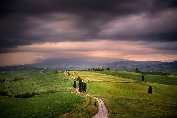 Jaynes Gallery 아티스트의 Europe-Italy-Tuscany-Val dOrcia-Road through farming landscape작품입니다.